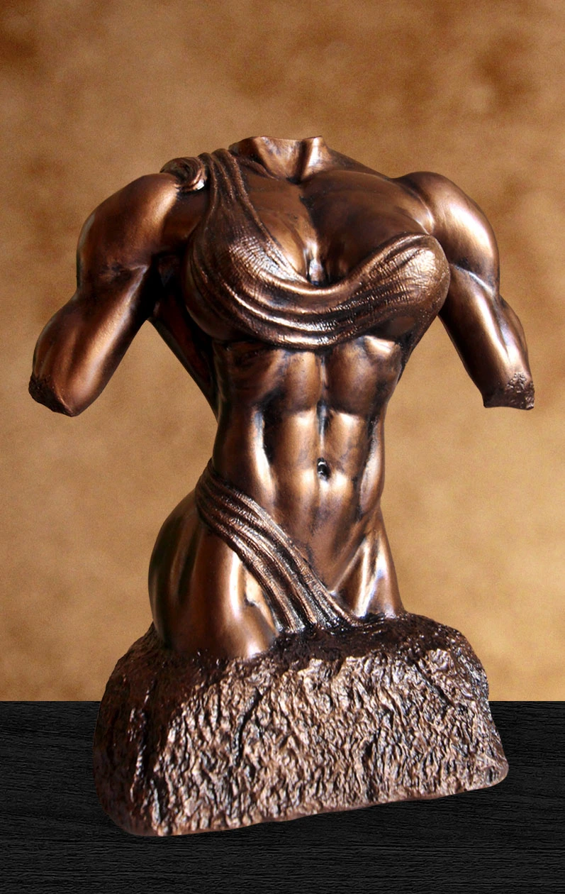 female bodybuilding torso